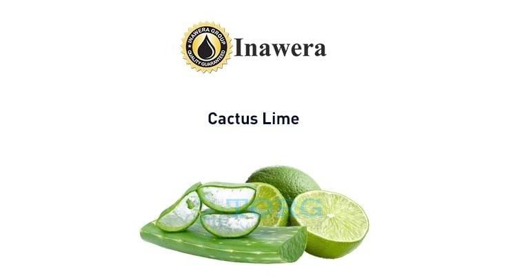 Изображение Ароматизатор Inawera Cactus Lime Ароматизатор Inawera Cactus Lime